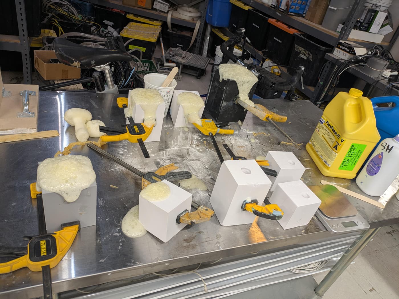 Mushroom Molds: photo 5 of 13