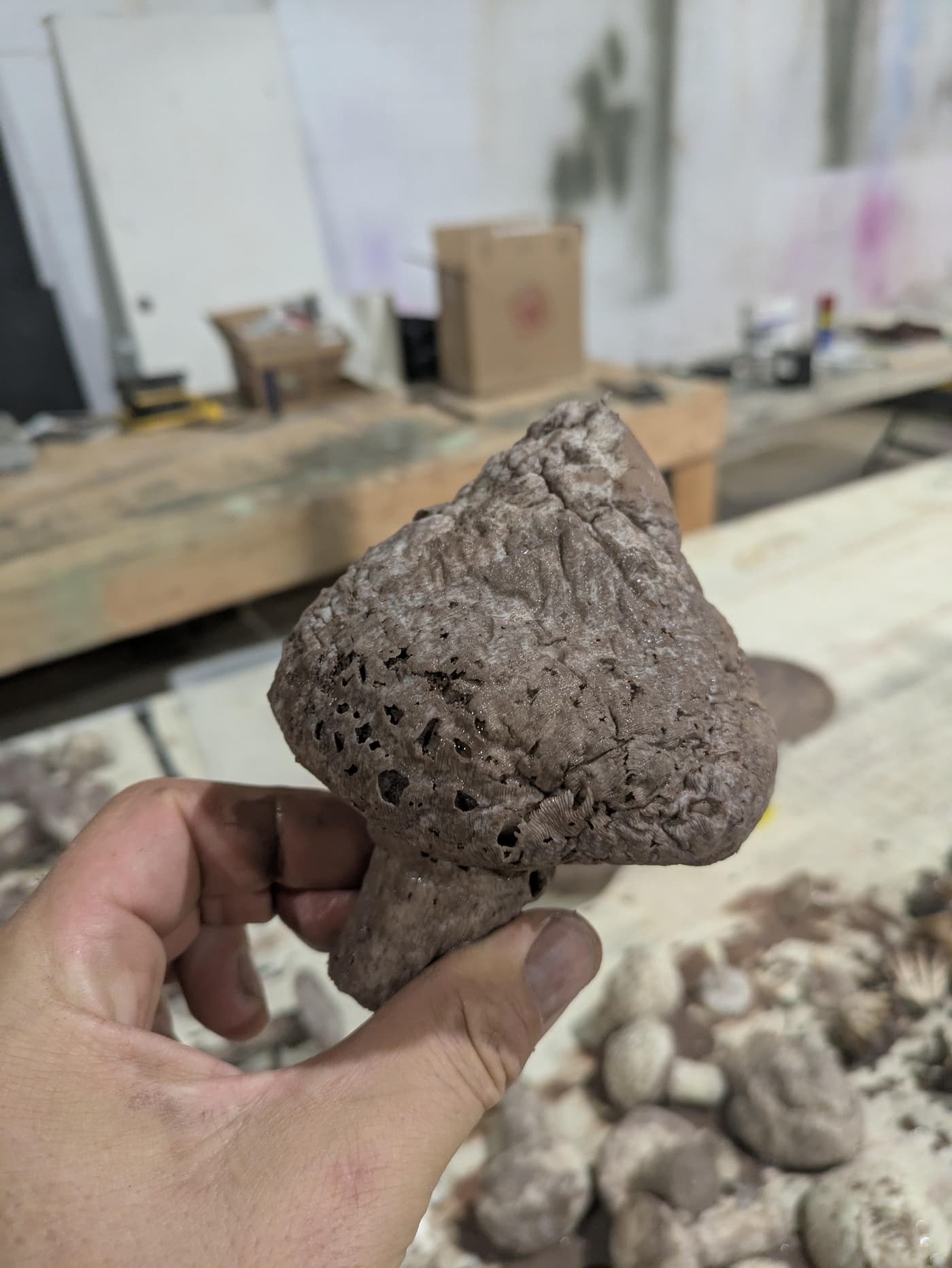 Mushroom Molds: photo 10 of 13